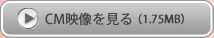 CM�f��������
